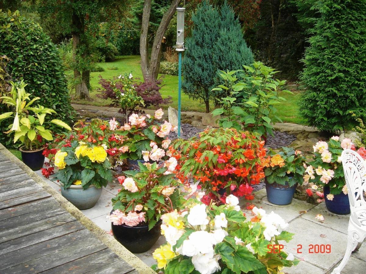 The Willows Bed & Breakfast York Dış mekan fotoğraf