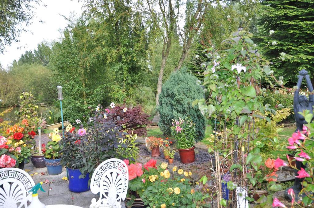 The Willows Bed & Breakfast York Dış mekan fotoğraf