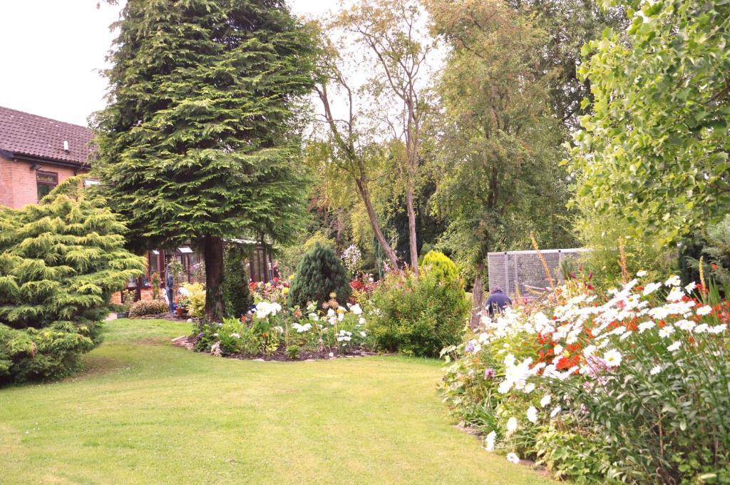 The Willows Bed & Breakfast York Dış mekan fotoğraf